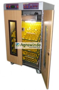 mesin-penentas-telur-ayam-7-tokomesin-semarang1