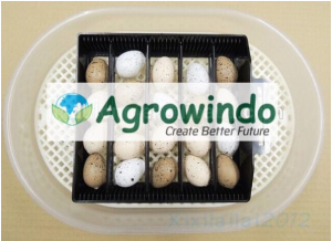 Mesin-Penetas-Telur-maksindo (1)