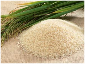 Mesin-Rice-Huller-Mini-Pengupas-Gabah-Beras-AGR-RM40-2-maksindosemarang (2)