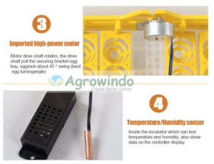 Mesin-Tetas-Telur-Kapasitas-96-Butir-Type-AGR-YZ96-5