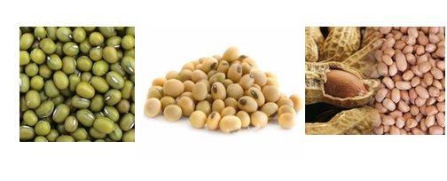 Mesin-Pulp-Grinder-Pembubur-Kacang-Kacangan-3-maksindosemarang (2)