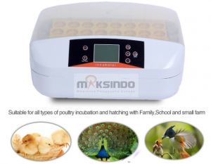 Jual Mesin Penetas Telur 32 Butir (AGR-TT32) di Semarang