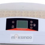 Jual Mesin Penetas Telur 56 Butir (AGR-TT56) di Semarang